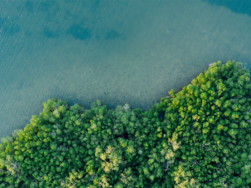 2025年第二季度全國地表水環境質量狀況（城市地表水質量排名）