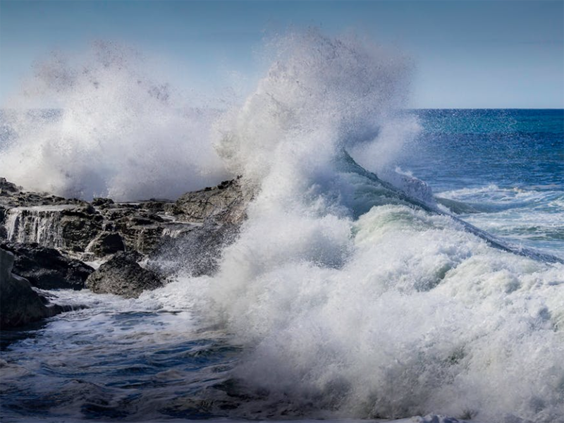 總磷檢測儀有哪些類型（總磷檢測儀檢測原理）