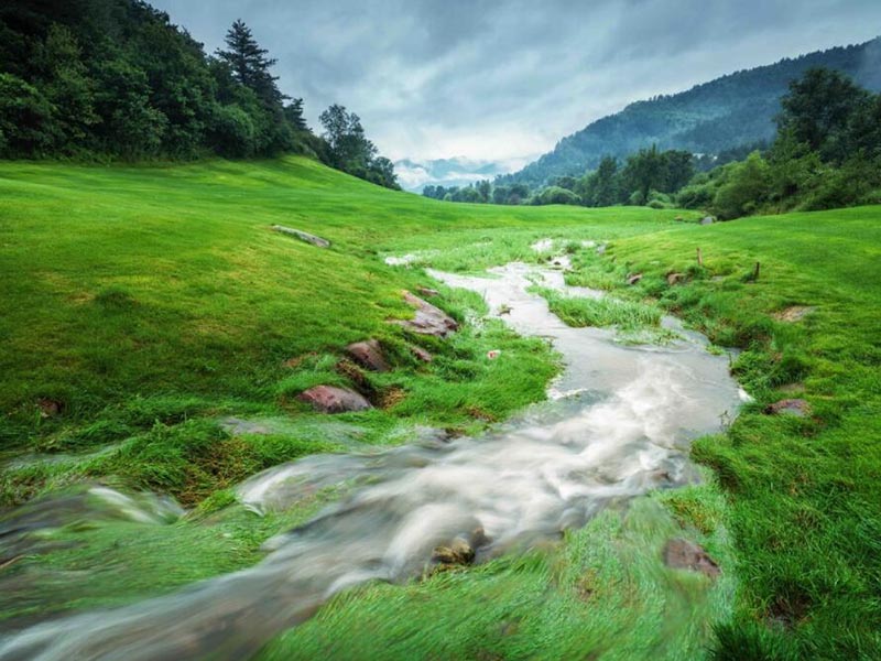 氨氮與總氮的區(qū)別與轉化（水質氨氮與總氮定義與成分）