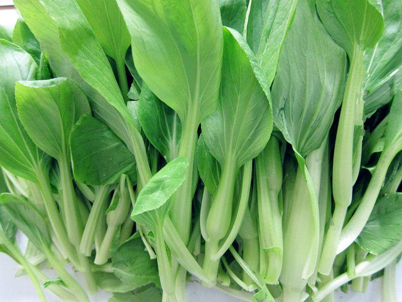 蔬菜農(nóng)殘檢測(cè)設(shè)備,讓蔬菜更“綠色” 蔬菜農(nóng)殘檢測(cè)設(shè)備,讓蔬菜更“綠色”