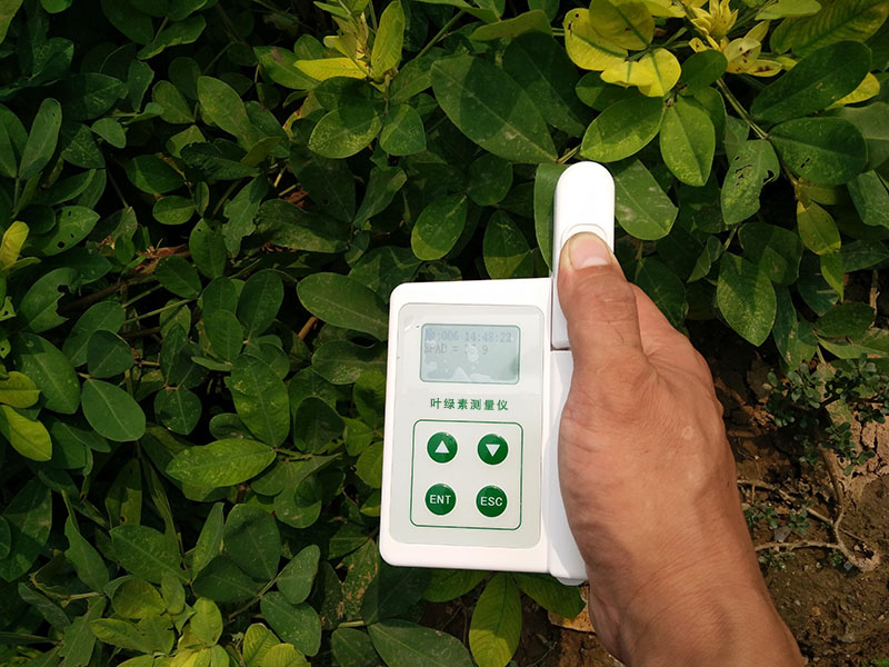 HED-YA植物葉綠素儀,為植物的健康狀況做檢查 HED-YA植物葉綠素儀,為植物的健康狀況做檢查