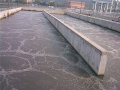 水質生物毒性檢測儀，可用于研究有毒元素