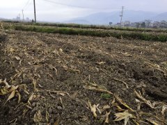 檢測(cè)土壤中的重金屬需要什么？