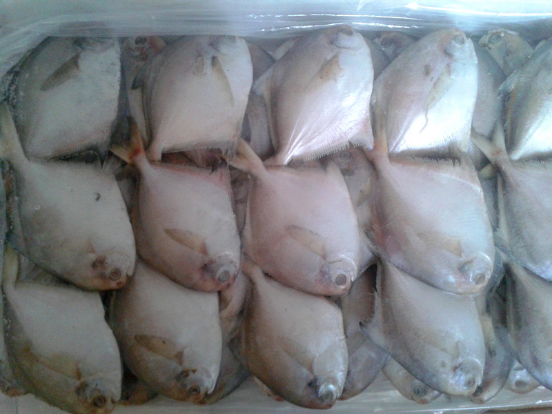 水產品快速檢測系統可檢測哪些 水產品快速檢測系統可檢測哪些